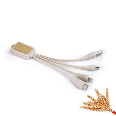 China Wholesale MP3/MP4 Player Wheat Straw and Bamboo Material Charger Mobile Phone USB Eco-Friendly Charging Cable for sale