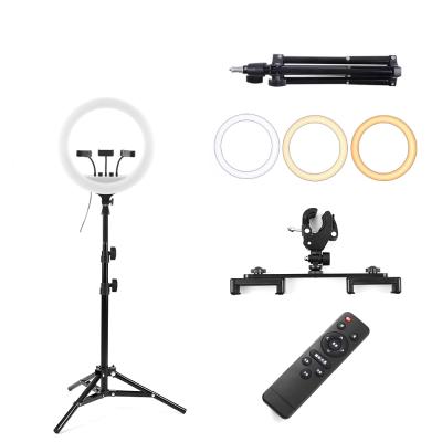 China Wholesale Low Price 18 Inch Aluminum Alloy LED Ring Light ABS+PC or ABS+PC for Phone with Tripod Microphone RL 18 Ring Light for sale