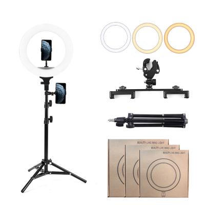 China Adjustable Shine 8 10 Video Camera Dimmable Selfie Ring Lamp Tripod 13 Inch Photography Mobile Phone Stand with LED Ring Fill Light for sale