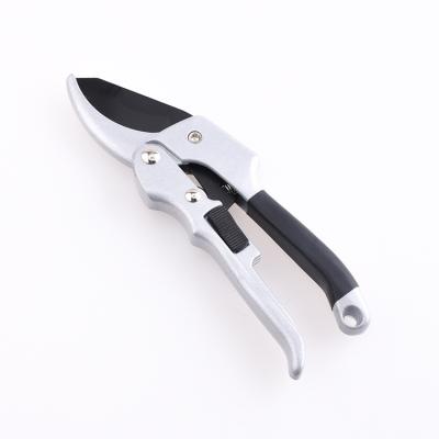 China Anti-skid Handle Professional Garden Manual Pruner Scissors Shears Stainless Steel Fruit Picking Grape Harvest Garden Shears for sale