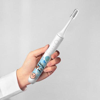 Chine Rechargeable Oral CareTeeth Whitening Sonic Electric Toothbrush Ultrasonic Toothbrush à vendre