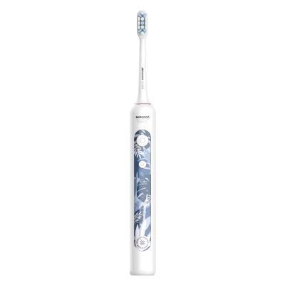 China SONIC Electric Toothbrush Adult Waterproof Toothbrush Head Electric Toothbrush Te koop