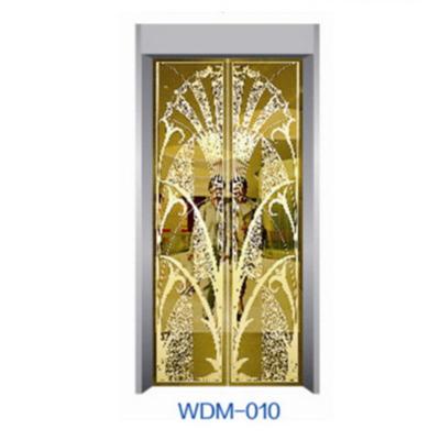 China Modern Decoration Leaves Cabin Lift Panel Elevator Door Sectional Elevator Door Panel for sale