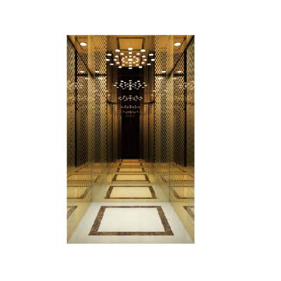 China Modern 600kh Passenger Elevator Italy Passenger Elevator for sale