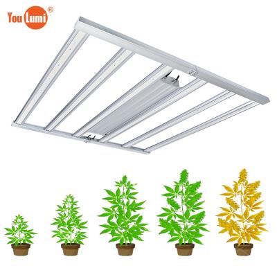 China Seed Starting 2021 Best LED Grow Light For Indoor Plants Growing Flower Stage Seeds Vegetative Germination Stage for sale