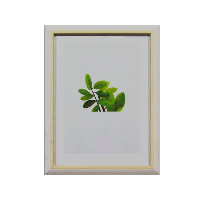 China Environmental Friendly New Modern Light WPC Luxury Eco - Friendly Photo Frame For Wholesale for sale