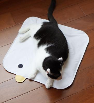 China Summer Cooling Dog Cooling Mat Bed Foldable Pet Ice Pad Soft Non Slip Cat Dog Bed for sale