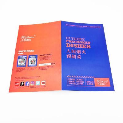 China Custom Printable Manual Product Instructions Brochure Flyer Insect Folder Product Display Promotion Flyer Printing Service for sale