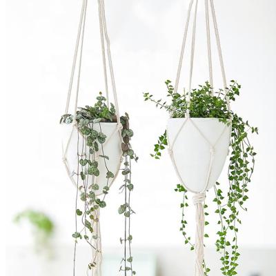 China New Minimalist Minimalist Plastic Lazy Flower/D/Egg Hanging Shape With Cotton Nordic Self-priming Rope Cocking Basin for sale