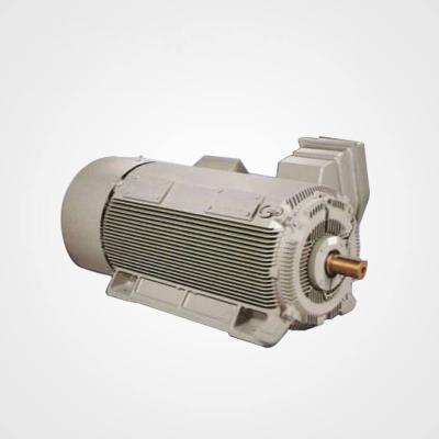 China YGM/YR Series (IP44) TEFC Totally Enclosed Energy Saving Squirrel Cage AC Motor for sale