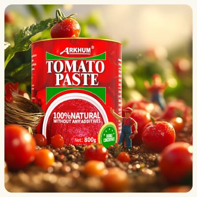 China Tomato pulp with Protein 5.3g Per 100g Carbohydrates 20.7g Per 100g and more for sale