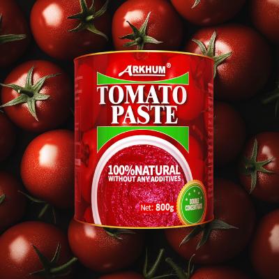 China Original Flavor Canned Tomato Pulp Canned Tomato Red Sauce for sale