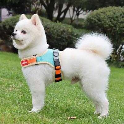 China Durable Heavy Duty Stainless Steel Buckle Adjust Small Dog Training Collar PET Strap Dog Collar for sale