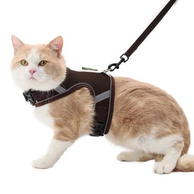 China Custom dog harness set Amazon direct sales hits pet cat strap viable custom moq stocking harness for sale