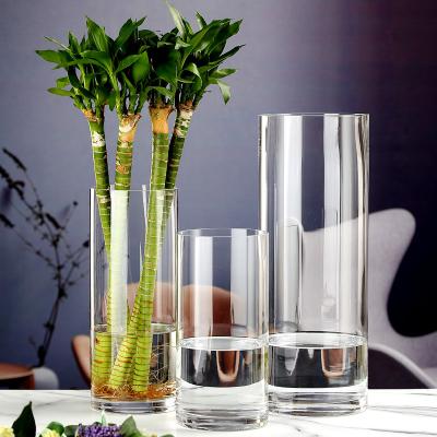 China Cylinder Minimalist Clear Glass Vase Flower Vase Living Room Tall Glass Vase for sale