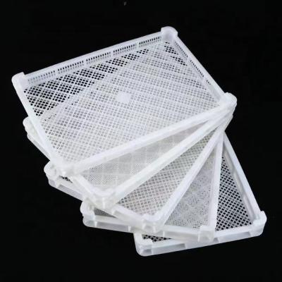 China Recycled Materials China Prepared Food Grade Plastic PE Drying Trays for sale