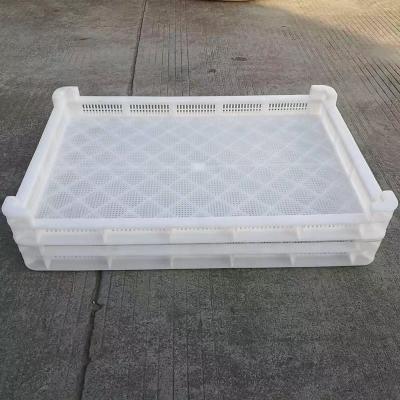 China Recycled Materials Antioxidant Plastic Drying Trays for sale