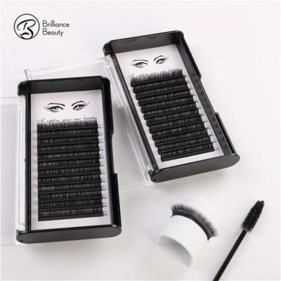 China Natural Soft HAND MADE Private Label Individual Eye Lashes Extensions for sale