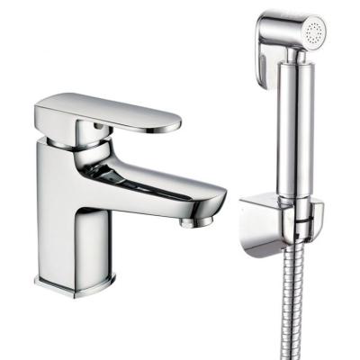 China Modern Shattaf Stainless Steel Hose Pipe Brass Water Faucet With Bidet for sale