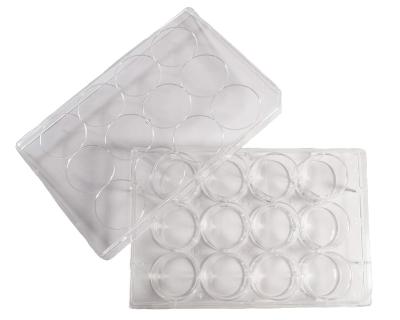 China High Quality High Clarity Disposable Cell Culture Dishes 12 Well 384 Well for sale