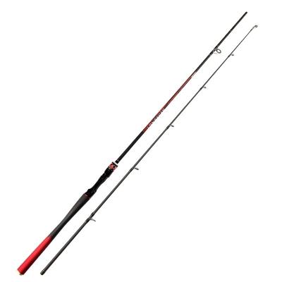 China Hot Selling High Quality Ultra Light Hollow Carbon Fiber 2section Spinning Fishing Rod for sale