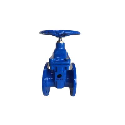 China General Valve DIN3352 F4 Ductile Iron EPDM Wedge Gate Valve for sale