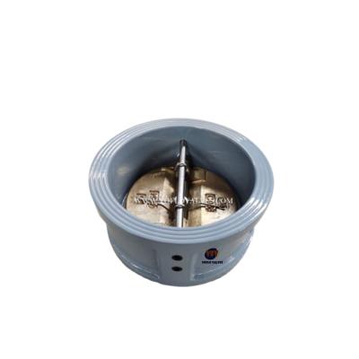 China General ANSI 150 Stainless Steel 316 Disc EPDM Seal Double Body Malleable Flat Iron Check Valve for sale