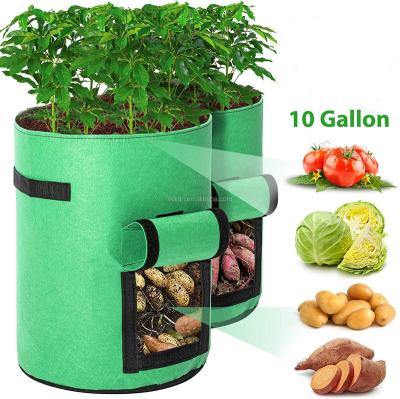 China Window Cloth Containers Indoor Outdoor Factory Made Magic Pots With Handles And Access Flap Vegetables Grow Bags Potato Planter Bag for sale