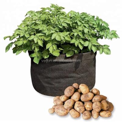 China replace plastic and degradable seeding container and nursery pots VJ-01 for sale