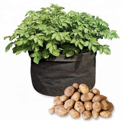 China Plant Growth Garden Felt Growing Bags Planting Bags High Quality Fabric For Sale 1 5 7 10 20 50 100 150 Gallon Space Black Printing White Gifts Hot for sale