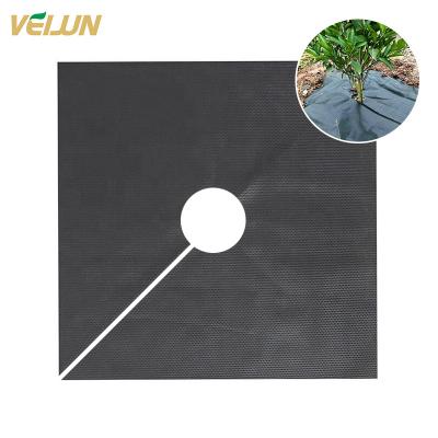 China Preventing Weeds Growing Nonwoven Mulching Film Supplier Gsm Nonwoven Agriculture Customized Light Black White Farm Weed Control Fabric China Material for sale