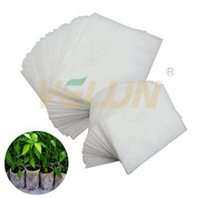 China Eco - Friendly Non Woven Biodegradable Plant Seedling Bags / Planting Pots / Plastic Nursery Containers for sale