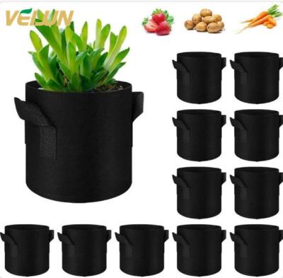 China Factory Wholesale Breathable Artificial Modern Potted Fabric 3 10 Gallon Lettuce Potato Potato Outdoor Vegetables Felt Growing Bags for sale