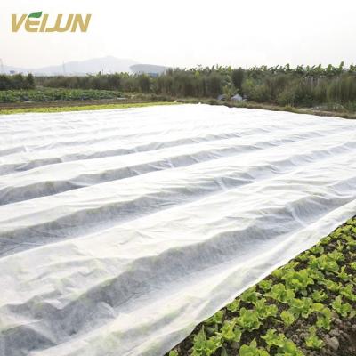 China Hot Sale Anti-bacteria Anti-freeze Large Garden Agriculture PP Blanket Durable Oversize Nonwoven Fabric For Factory for sale