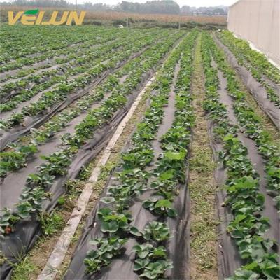 China Agriculture pp spunbond UV nonwoven tablecloth fabric biodegradable cultivation weed mat for sale