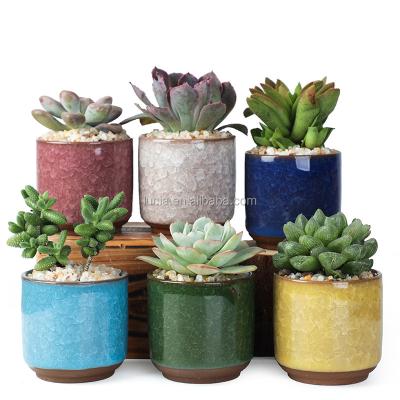 China Eco-friendly Korean Succulent Flower Pot For Succulent Succulent Planter Ceramic Flower Pot With Water Proof Tray for sale