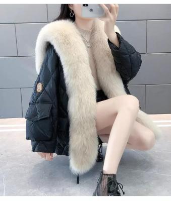 China wholesale new design Anti-wrinkle winter jacket coat with zipper pullover jacket coats for women down jacket coat for sale