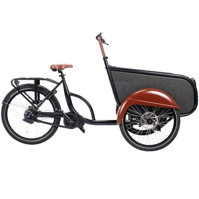 China Kids bicicleta ciclo electric cargo bike WITH 3 wheel stability A FAMILY BIKE for sale