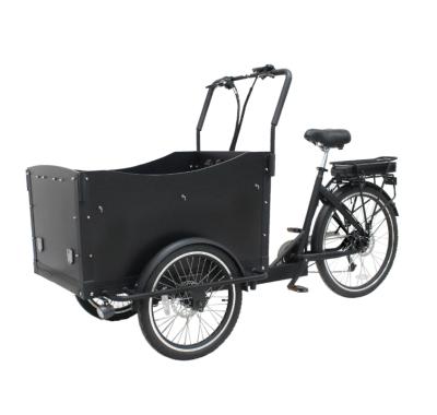 China Aluminum Alloy Ciclo Bicicleta Super Convenient Family Electric Cargo Tricycle Bike Modern Electric Pedicab For Kids 48V Made in China for sale