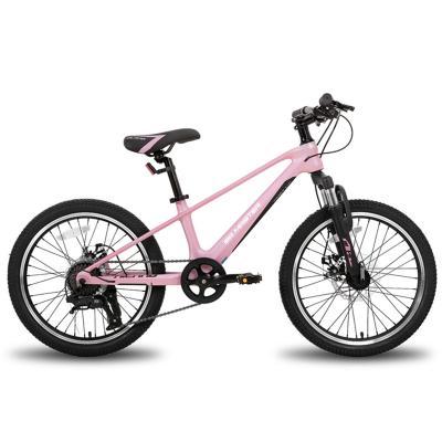 China Steel bicicleta ciclo factory customized mountain bike balance bicycle 20 inch cycle MTB magnesium alloy kids bike for girl boy for sale