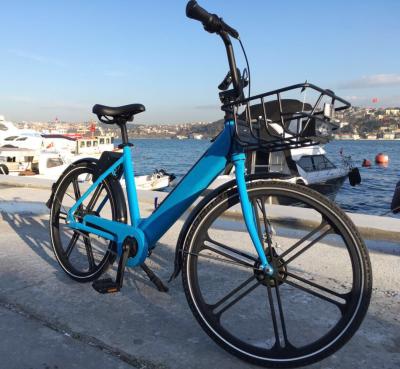 China Aluminum Alloy 5A MASTER OEM Single Speed ​​E-bike Sharing Manufacturer Electric Bicycles Sharing With Smart System for sale