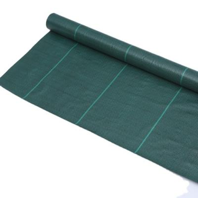 China Garden Decoration New Green PP Weed Control Mat For Agricultural Weed Control Film Customized Agriculture Nursery Black for sale