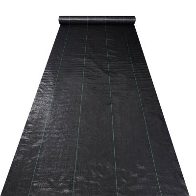 China Garden Decoration PP Weed Control Mat For Weed Control Agricultural Film Customized Agriculture Nursery for sale