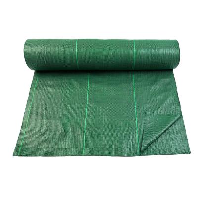 China Arriving Garden Decoration New Green PP Weed Control Mat For Agricultural Weed Control Film Customized Agriculture Nursery Black for sale