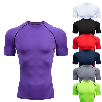 China Anti-wrinkle Shapershark Factory Wholesale Customized Factory Quick-Drying Sportswear  Breathable Short Sleeve Tshirt Gym Training Clothes for sale