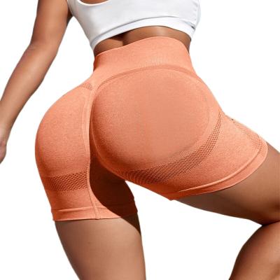 China Breathable Shapershark Factory  Custom Logo Private Label Women Seamless Shorts Fitness High Waist Pants Stretch Scrunch Butt Yoga Short for sale