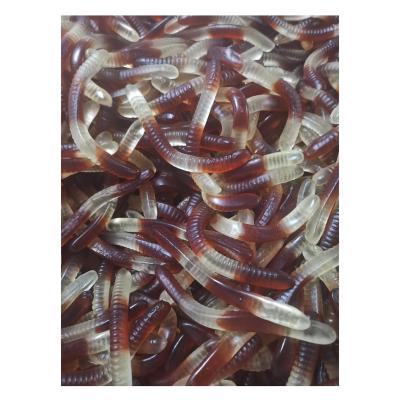 China KOLA GUMMY WORMS Natural KOLA FLAVOR LONG SIZE AVAILABLEFOR CUSTOM SIZE for sale