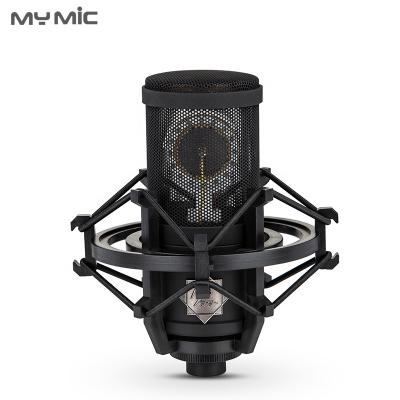 China Perfect Sound MY MIC P300-L Mic Large Diaphragm Professional Condenser Studio Microphone for Computer Podcasting Vocal Recording Singing for sale