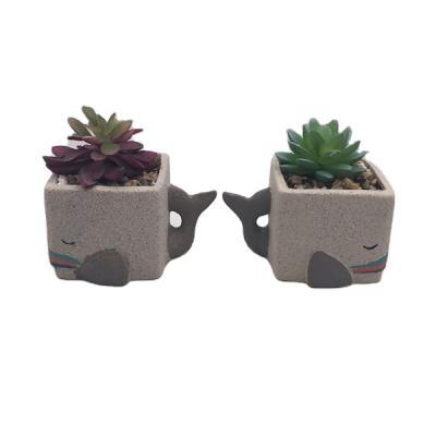 China Modern Creative Ceramic Succulents Cactus Pots Plant Pot Flower Whale Vase Cartoon Porcelain Home Decoration for sale