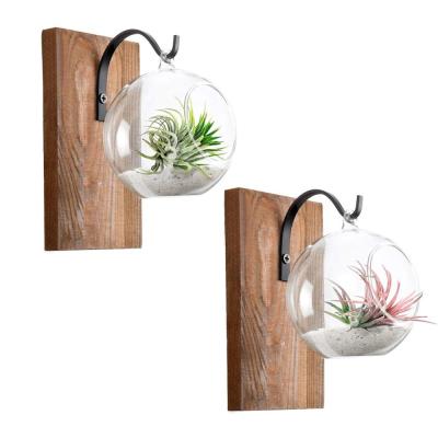 China Eco-Friendly Glass Wall Planter with Rustic Wooden Plant Rack Mini Greenhouse Board Air Decor Hanging Hooks for Office Home Indoor for sale